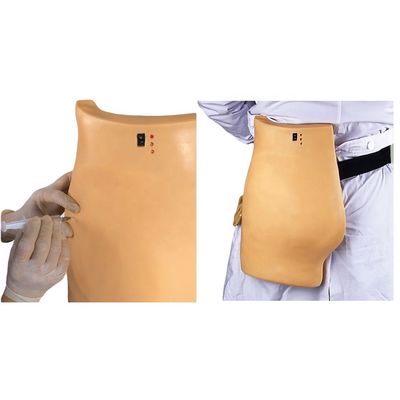 Medical Model for Puncture Training Demonstration Electronic Muscle Injection Teaching