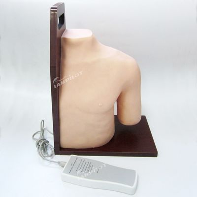 Subject Medical Science Manikin Electronic Shoulder Joint Injection Training Simulator Nursing Model