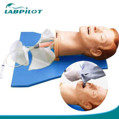 Vivid Anatomy Intubation Head for Electronic Multi-functional Airway Management Model