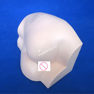 Professional Manikin Hip Intramuscular Injection Practice Model for Medical Training