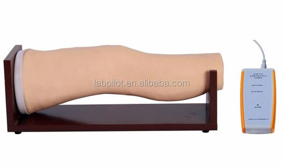 Vivid Electronic Knee Joint Intra-articular Injection Training Model for Clinical Nursing Skills
