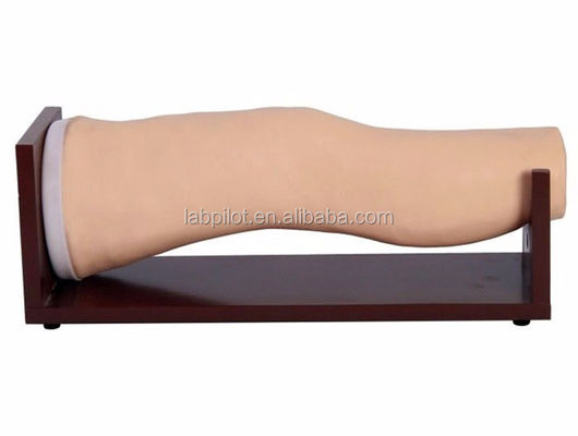 Vivid Electronic Knee Joint Intra-articular Injection Training Model for Clinical Nursing Skills