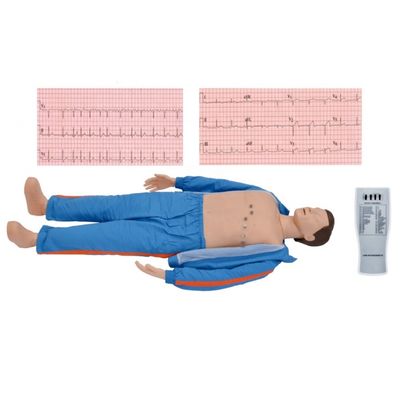 Advanced ECG Training Manikin Adult Computerized Simulator for Medical Professionals