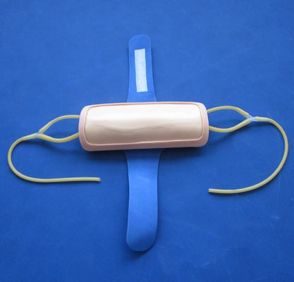 Advanced PVC Forearm Venipuncture Training Pad IV Injection Pad for Medical Science