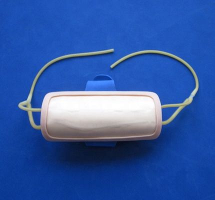 Advanced PVC Forearm Venipuncture Training Pad IV Injection Pad for Medical Science