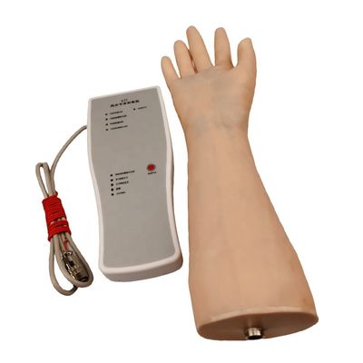 Upgrade Your Clinical Skills Demonstration with Electronic Wrist Joint Puncture Model