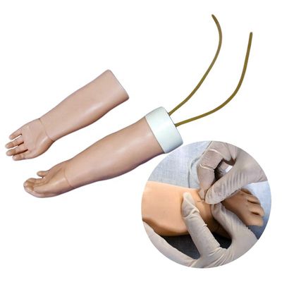 Medical Science Subject Portable Venipuncture Training Arm Model with Replaceable Skin
