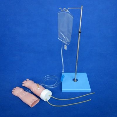 Medical Science Subject Portable Venipuncture Training Arm Model with Replaceable Skin