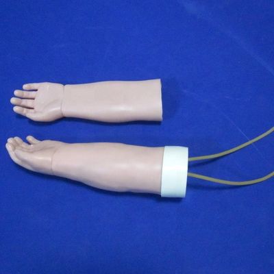 Medical Science Subject Portable Venipuncture Training Arm Model with Replaceable Skin