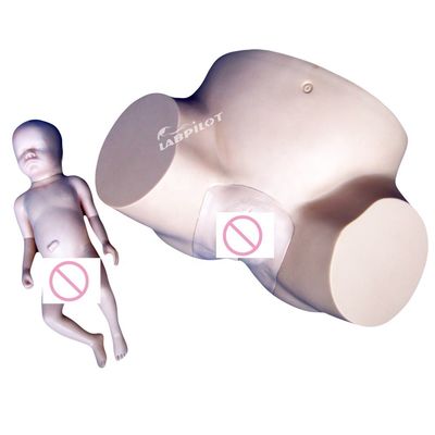 Schools Vacuum Delivery Birthing Simulator with Soft Baby Doll and Human Life Size