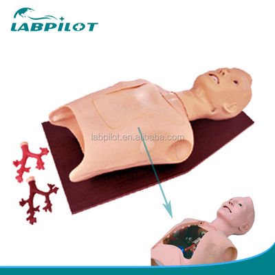 Patients Care Training Medical Bronchoscopy and Intubation Simulator with Alarms