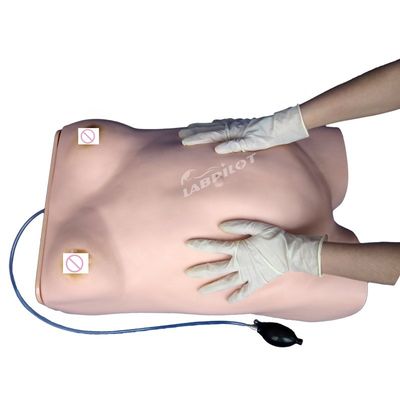 Electronic Maternity Palpation Model Manikin with Gynecological Auscultation Function