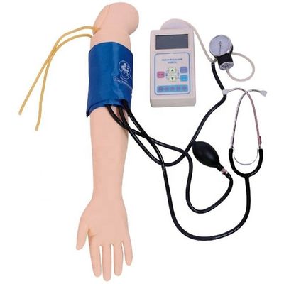 Arterial Blood Pressure Measurement Training Arm Model Categories Educational Mannequin
