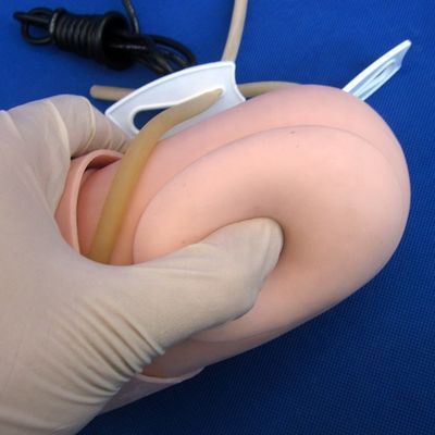 Arterial Blood Pressure Measurement Training Arm Model Categories Educational Mannequin