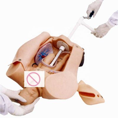 First Aid Manikin for Patients Care Demonstration Advanced Birthing Teaching Simulator