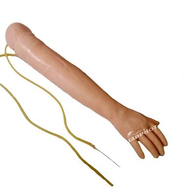 Medical Science Venipuncture and IM Injection Training Arm Model with Spared Skin
