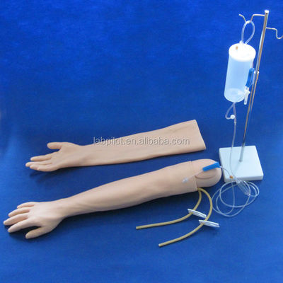 Vivid Arm Model for IV Injection Training Multi-functional Clinical Nursing Training Model