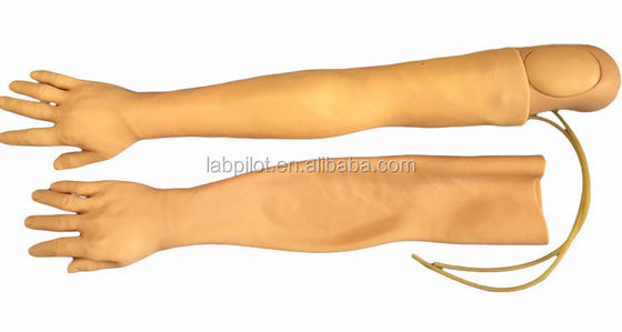Vivid Arm Model for IV Injection Training Multi-functional Clinical Nursing Training Model
