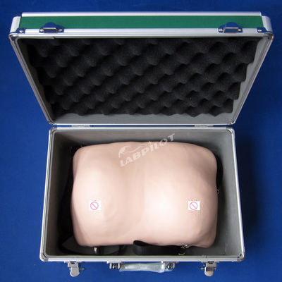 Breast Self Examination Training Manikin Realistic Skin Model for Gynecological Care