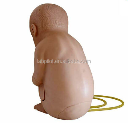 Human Life Size Manikin for Pediatric Spinal Vertebral Puncture Training Practice