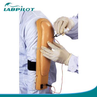 Clinical Nursing Skills Training Medical Teaching Simulators Arm Injection Training Model