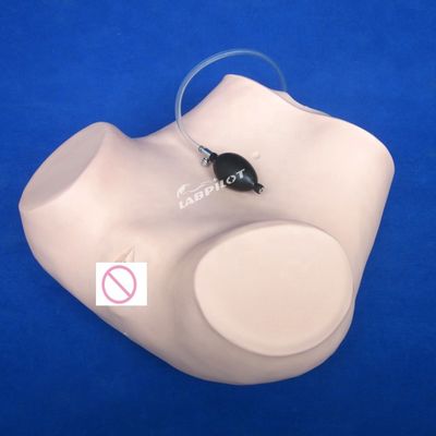 Contraception Uterus Pelvic Examination Training Manikin Medical Gynecology Care Model