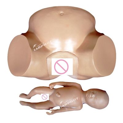 Vacuum Extraction Birthing Simulator for Midwifery Training Patients Care Demonstration