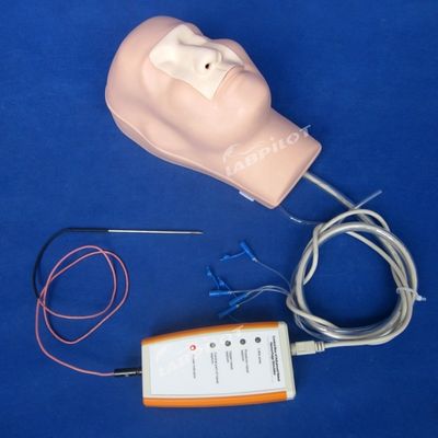 Nasal Hemostasis Cauterization and Packing Training Manikin for Function Medical Model