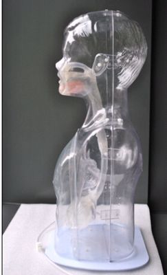 Transparent Children Nasal Feeding and Gastric Lavage Model Nursing Simulator ' Top Choice