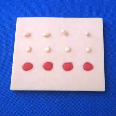 Professional Clinical Training Kit for Medical Science Multi-functional Minor Surgery