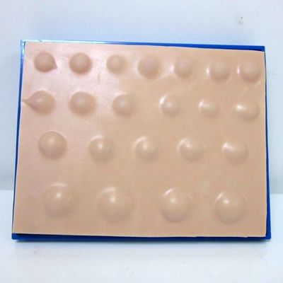 Advanced PVC Incision Model for Teaching Abscess Incision and Drainage Skills in 2023