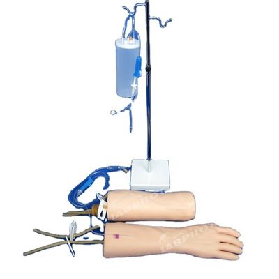 IV Infusion Training Model Soft Skin Hand and Elbow Intravenous Transfusion Training Arm