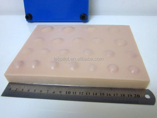 Advanced PVC Incision Model for Teaching Abscess Incision and Drainage Skills in 2023