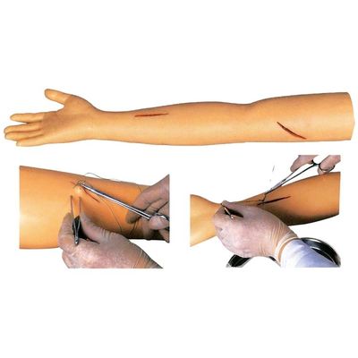Manikin for Advanced Suture Practice Surgical Suturing Training Arm Model
