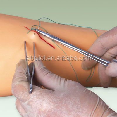 Manikin for Advanced Suture Practice Surgical Suturing Training Arm Model