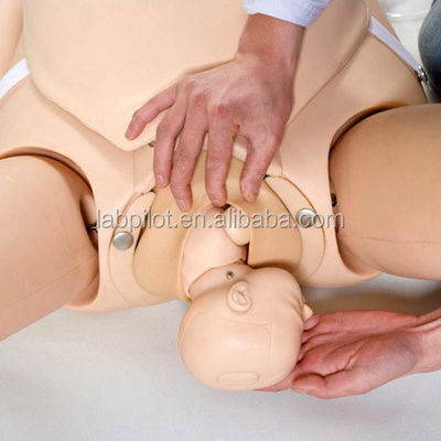 Advanced PVC Obstetrics Skills Training System for Childbirth Emergency Care and Nursing