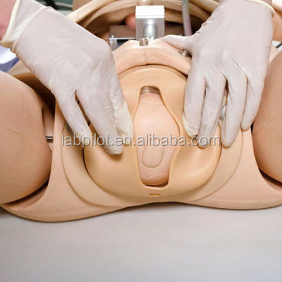Advanced PVC Obstetrics Skills Training System for Childbirth Emergency Care and Nursing
