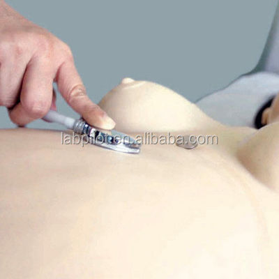 Advanced PVC Obstetrics Skills Training System for Childbirth Emergency Care and Nursing