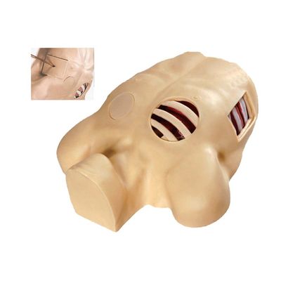 Advanced PVC Pneumothorax Decompression Manikin for Artificial Hydrothorax Simulation