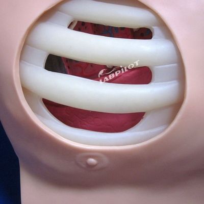 Advanced PVC Pneumothorax Decompression Manikin for Artificial Hydrothorax Simulation