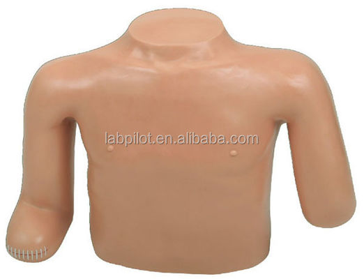 Medical Science Patients Care Training Upper-limb Torso Ampution Dummy Dressing and Bandaging Training Model