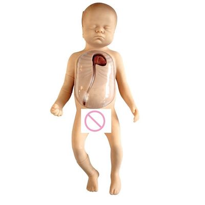 Human Life Size Baby Nursing Manikin Featuring Neonatal Care PICC Model