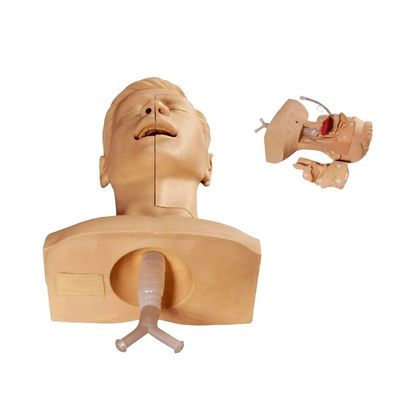 Nursing Training Manikin Advanced Suction Simulator for Effective Sputum Aspiration