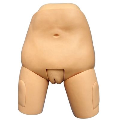 Postpartum Manikin Nursing Simulator for Medical Science Fundus of Uterus Examination