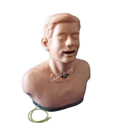 2023 Adult Tracheotomy Care and Suction Nursing Manikin Hospitals' Top Training Tool