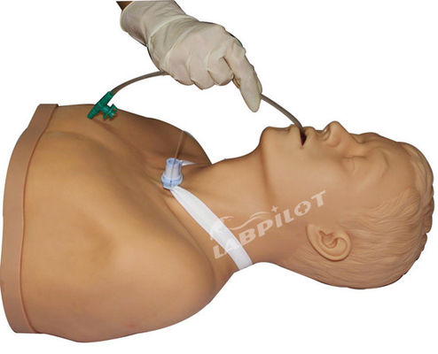2023 Adult Tracheotomy Care and Suction Nursing Manikin Hospitals' Top Training Tool