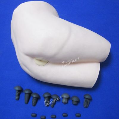 Patients Care Demonstration Clinical Training Model Rectal Examination Simulator with Feces