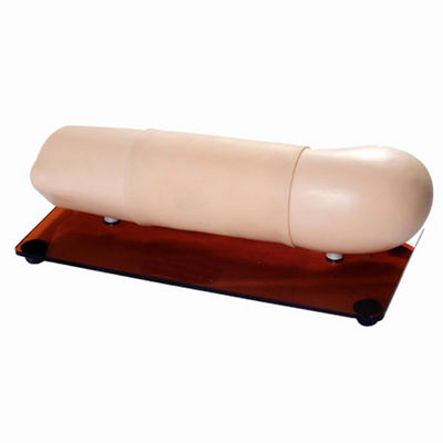 Advanced Nursing Training Function Subcutaneous Embedded Contraceptive Training Arm Model
