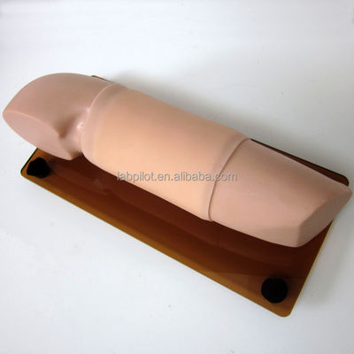 Advanced Nursing Training Function Subcutaneous Embedded Contraceptive Training Arm Model