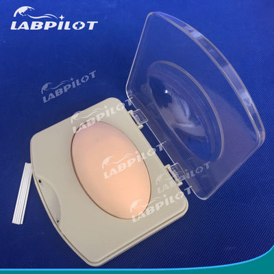 Advanced PVC Subcutaneous Implantation Demonstration Pad for Family Planning Training